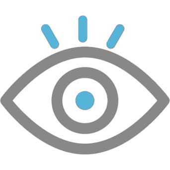 vision